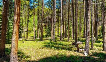 277 Wagon Rd, Breckenridge, CO 80424