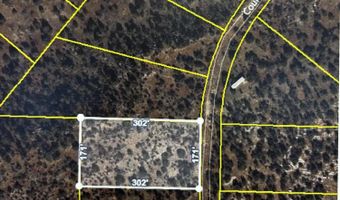 312 CR 8280, Concho, AZ 85924