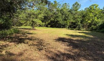 64 47 Ac Old Faceville Rd, Bainbridge, GA 39819