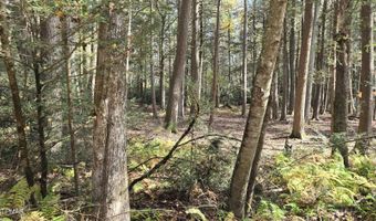 C830 & C83 Lakeside Lane, Albrightsville, PA 18210