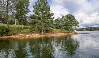 PARCEL 1 SIPSEY PINES ROAD, Arley, AL 35541