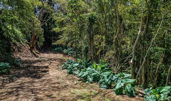 2762 Hana Hwy Lot Cpr B, Haiku, HI 96708
