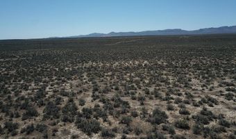 4 83 Acres Maple St, Elko, NV 89801