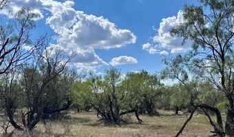 Tbd TBA County Road 100, Abilene, TX 79601
