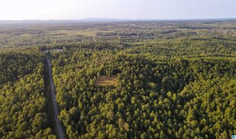 200 TABLEE LANE Lot 17.65, Ashland, AL 36251