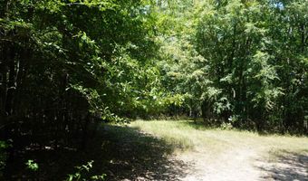 000 Stokes Rd, Bald Knob, AR 72010