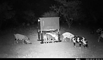 TBD East Tract County Road 356, Anson, TX 79501