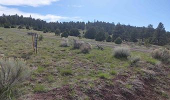 01195 Rito Hondo Rd, Antonito, CO 81120