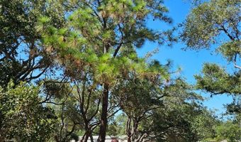 419 R RABBIT RUN Rd, Aransas Pass, TX 78336