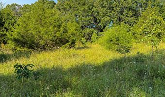 Co Rd 539, Ava, MO 65629