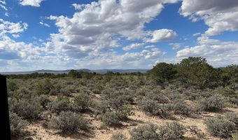 Lot 6 Nieman Road, Arroyo Hondo, NM 87513