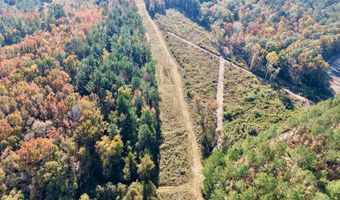 TBD Binnicker Bridge Road, Bamberg, SC 29003