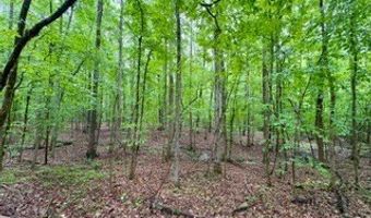 CR 265, Bruce, MS 38915