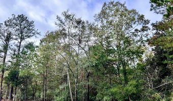 Lot B RIDGE Road, Appling, GA 30802