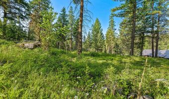 24 Bridle Ct, Bigfork, MT 59911