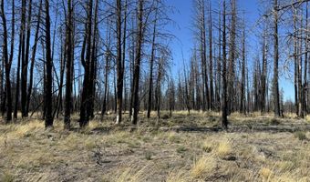 Mahogany Lane 200, Beatty, OR 97621