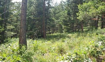Arlee Pines lot 21, Arlee, MT 59821