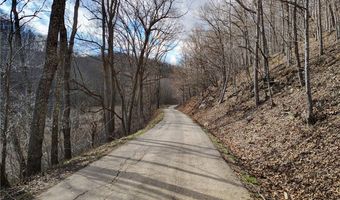 3 Flat Creek Rd, Alkol, WV 25501
