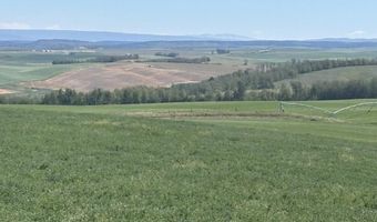 4134 Mountain Shadows Ln, Ashton, ID 83420