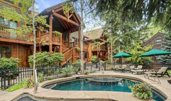507 W Main St C101, Aspen, CO 81611