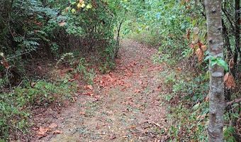 46 Private Road 160-190, Alton, MO 65606