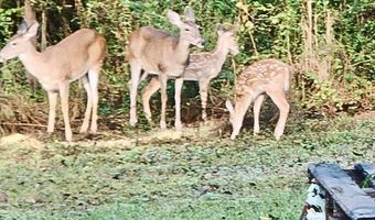 5406 Steele Rd, Baker, FL 32531