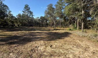 11491 NE 109TH Pl, Archer, FL 32618