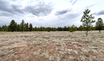 99 Big Notch Forest Trl, Bluewater, NM 87005