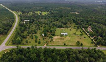 22457 NW Valencia Dr, Altha, FL 32421