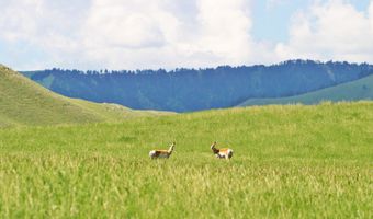 77 Sand Creek Ranch Rd, Buffalo, WY 82834