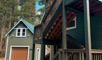 79 Silvertip Rd, Bear Valley, CA 95223