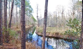 123 Westover Dr, Adel, GA 31620