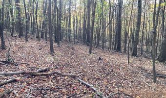 BIG HORN Trail, Augusta, WV 26704