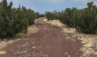 76 County Road 8010, Concho, AZ 85924