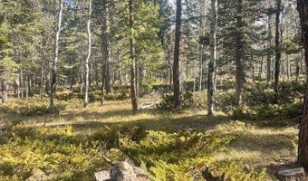 399 N Skinner Rd, Allenspark, CO 80510