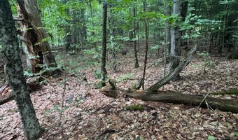 10-3 9 Tobey Rd, Campton, NH 03223