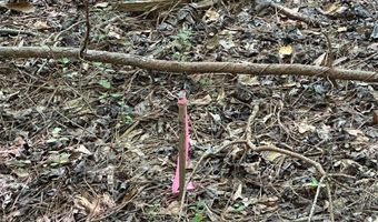 0 Highway 140 Tract E NW, Adairsville, GA 30103