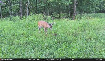 566 A Tunnel Ridge Rd, Argillite, KY 41121