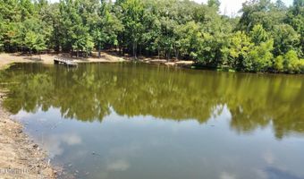 3 Champion Hill Rd, Bolton, MS 39041