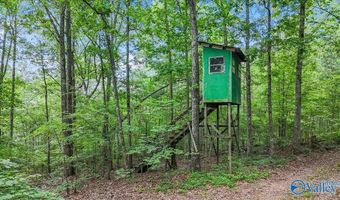 Unit # 0 Murphree Valley Road, Altoona, AL 35952