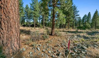 238 Redding Way, Carson City, NV 89705