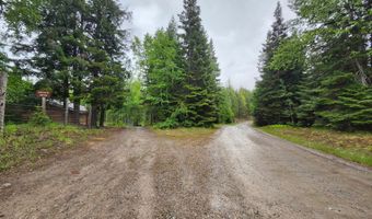 13376 Bug Creek Rd, Bigfork, MT 59911