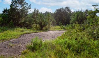 0 US Hwy 84 E, Andalusia, AL 36420