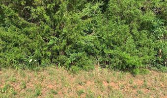 Rock House Road, Blacksburg, SC 29702