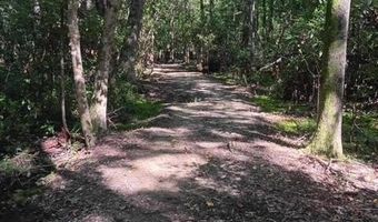 247 Horseshoe Trl, Barnwell, SC 29812