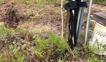 4539 NW Miller/White LN Rd, Altha, FL 32421