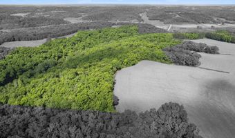 33 44 Acres Zwettler Rd, Arena, WI 53517