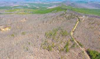 Larkin Mountain, Amherst, VA 24521