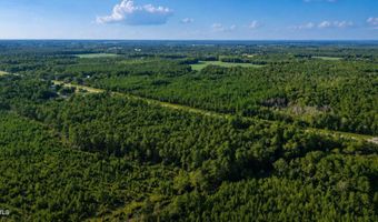 Whiteville Road NW lot 1, Ash, NC 28420