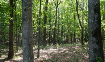 339 MCNUTT Rd, Bear Creek, AL 35543